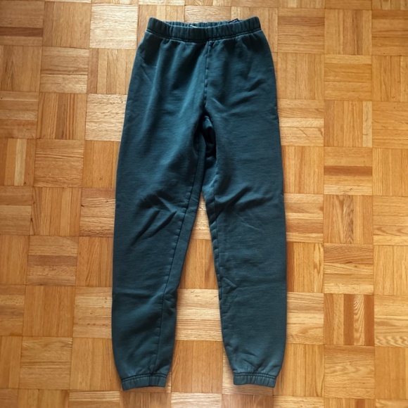 Aritzia TNA CozyAF Fleece Green Sweatpants - Picture 3 of 4